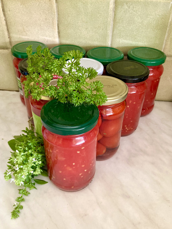 B815D39B-62AA-4858-9A77-57A2AC078500