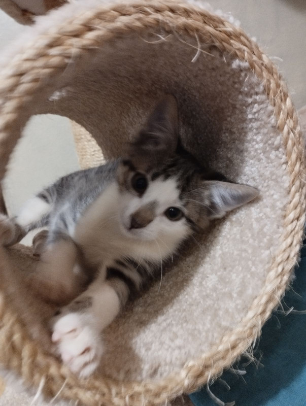 IMG-da677a19348307e9891d475814f69cc9-V