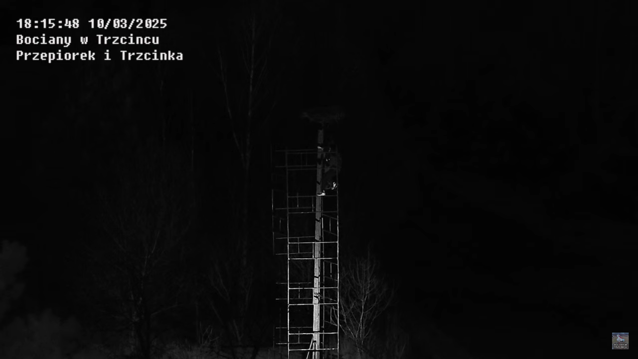 10032025rusztowanie4