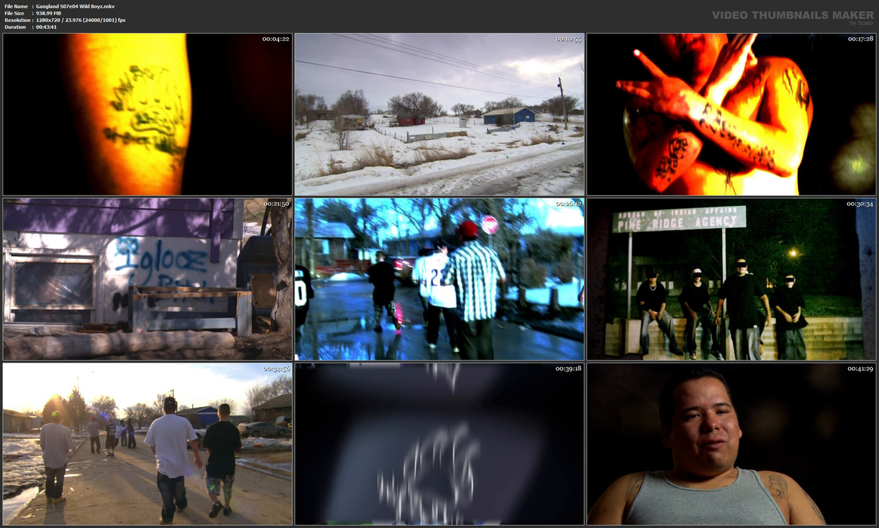 Gangland S07e04 Wild Boyz.mkv
