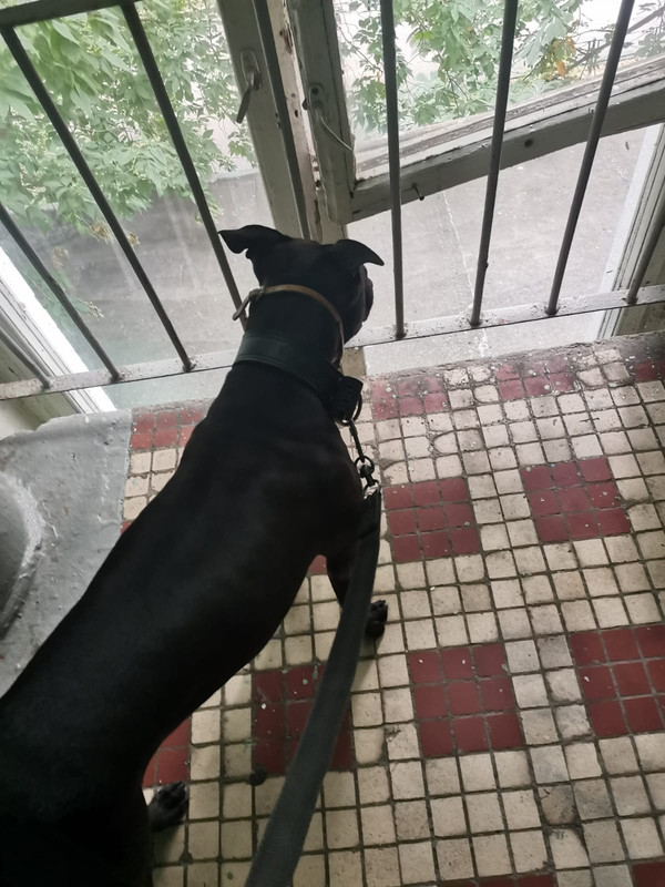 562B94BA-E6C2-4E62-BFBB-A8E8EC4E2F00