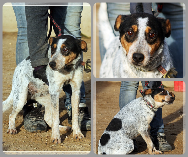 BeFunky-collage (17)