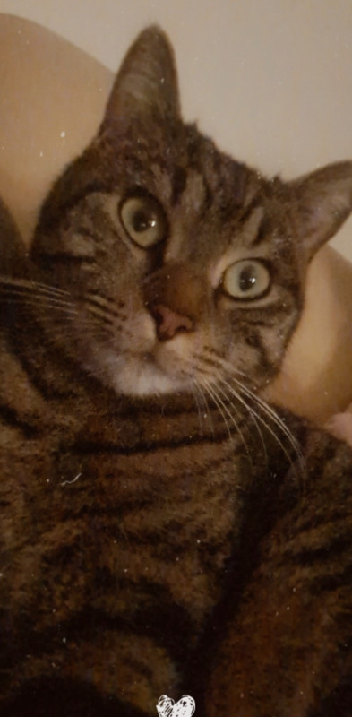 Screenshot_20230114-185717_Email