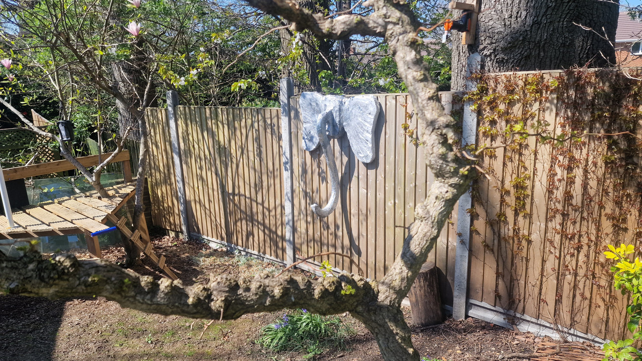 ElephantOnFence