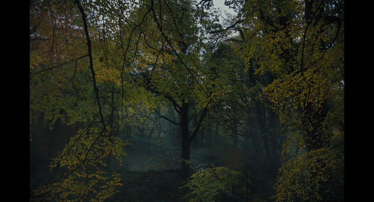 vlcsnap-2024-10-04-14h08m18s444.png