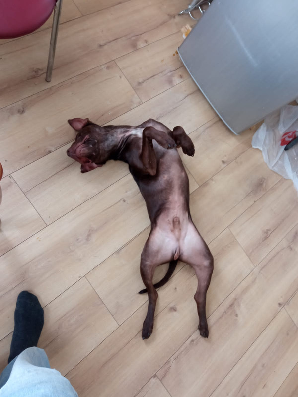 1272598D-E4F6-4571-BE96-82645A928AD5