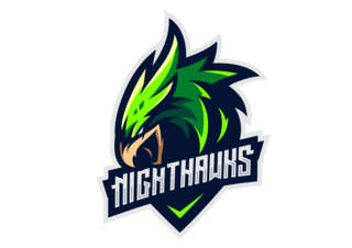 Nighthawks-Logo-1.png