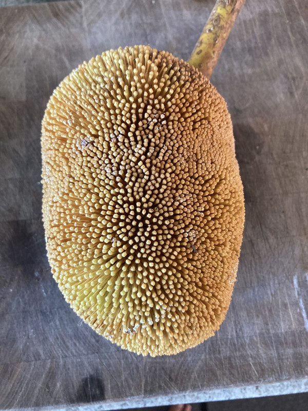 92463856-BA01-4763-BFAB-3C73AD211DCB