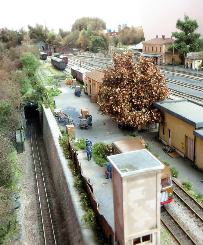 Alberi Boscoscuro giugno 2023 (26)