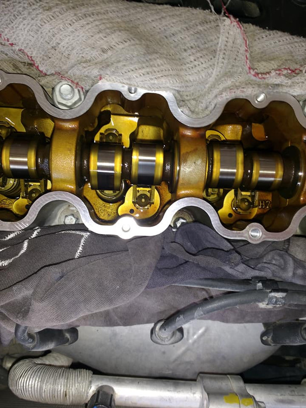 60361857_10214182465984328_2420132986608418816_n