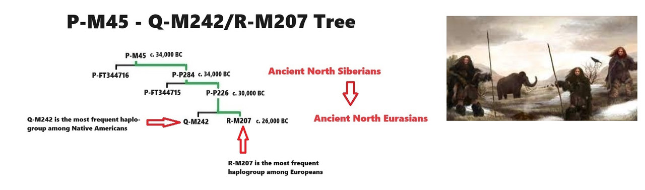 [Image: P-M45-Q-M242-R-M207-Tree.jpg]