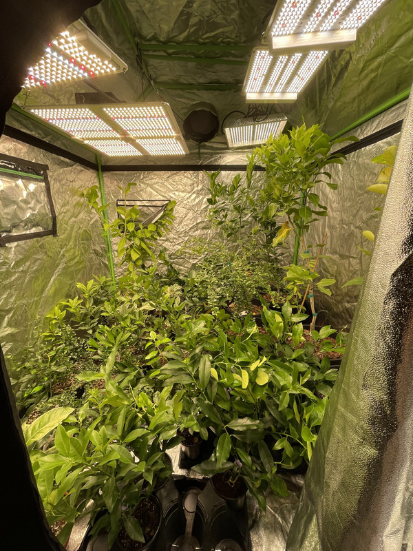 90ACEC8C-F8AA-42A0-B8AC-5B1991B238AE