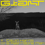 220px-Calvin-Harris-Giant.png