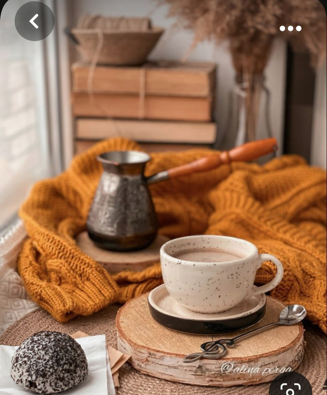 Screenshot_20231008_212621_Pinterest