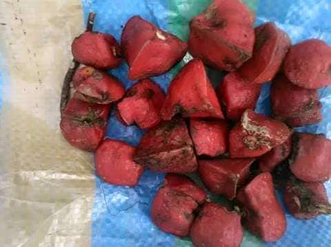 received_1022379108550507