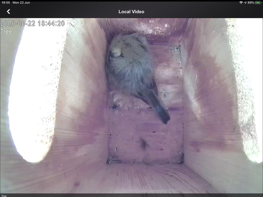 F0A385C7-8D98-45F7-8ABD-73B01380C07F