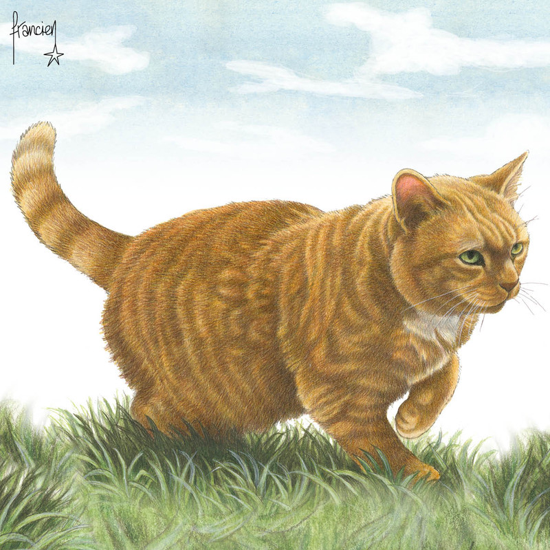 05-329742933-3392991650974193-6845360499215752543-n