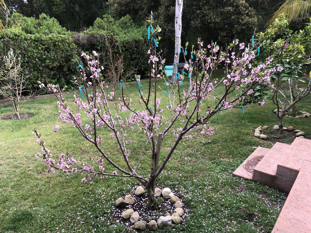 1C3C9407-6728-4073-8C9A-2DD00C34176A