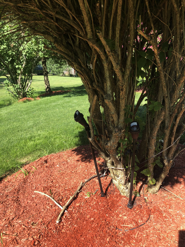 AA11DC28-D722-4288-8896-9594C0F7BBF8