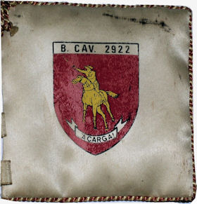 BCav2922