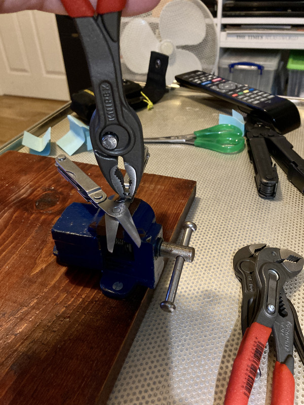 28D77274-E3A2-4BAD-89D5-B396DFB9D38E