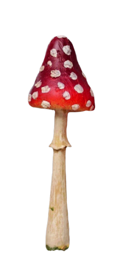 Mariposa_Kit_107