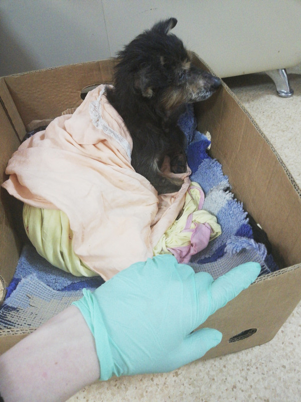 6D2C452C-835F-4A17-B985-57D15E770084