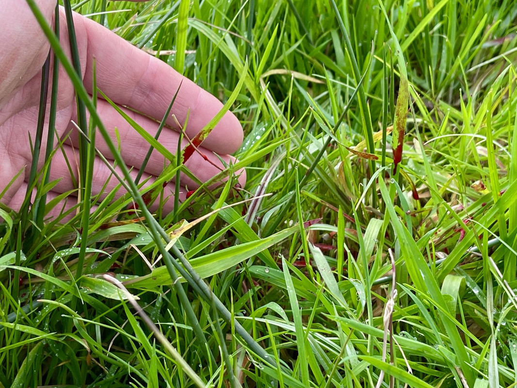 B4067D3F-E081-4FD9-9218-59B68199316C