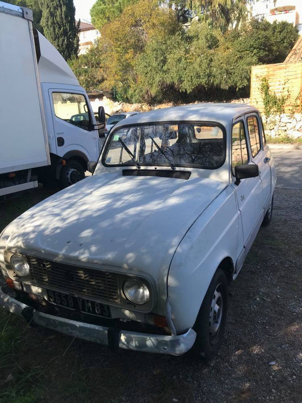 125862629_387716612652249_8069458007447457728_n