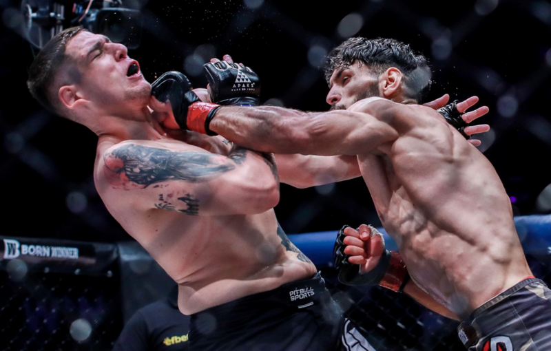 Резултати и видео от MMA Bushido 88