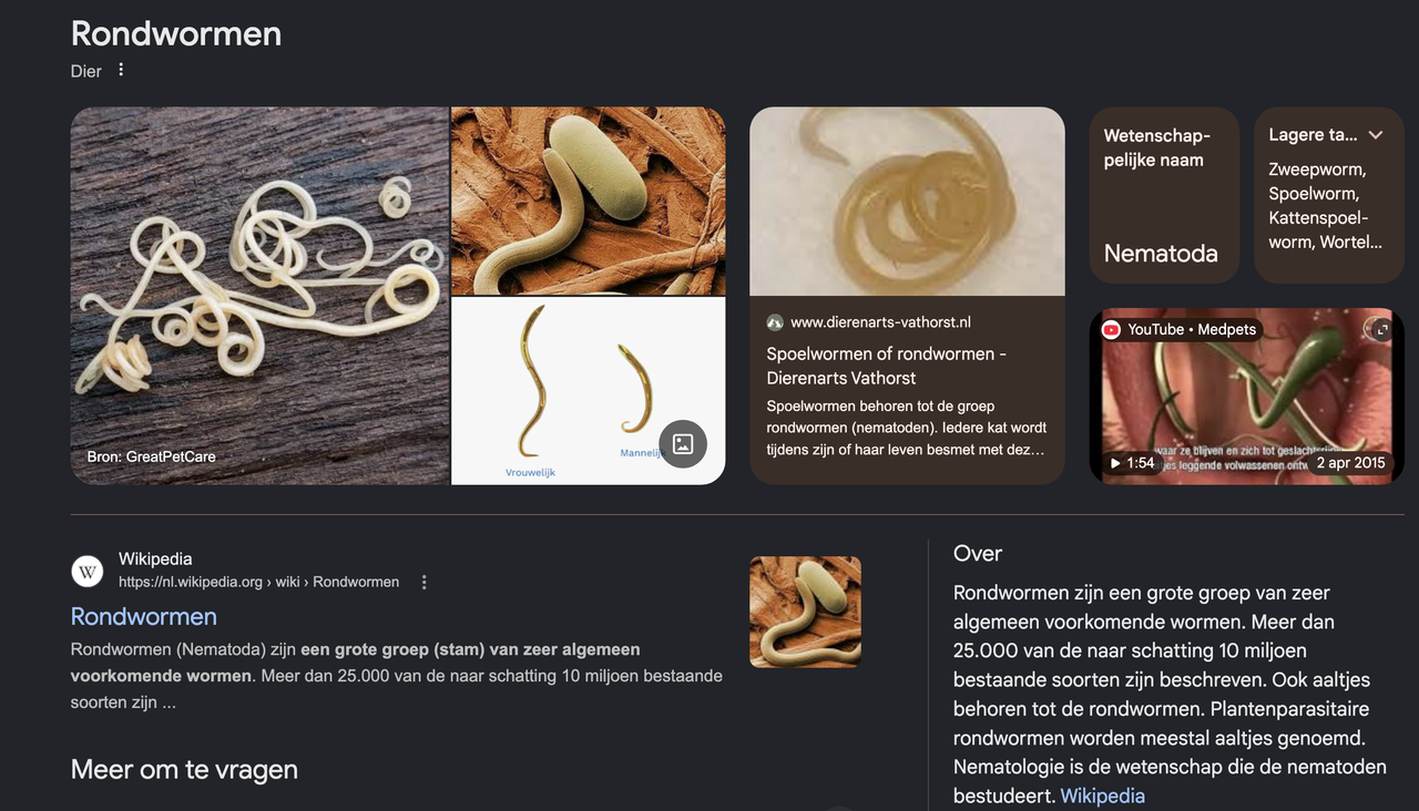 Scherm-afbeelding-2026-04-25-om-19-52-16.png