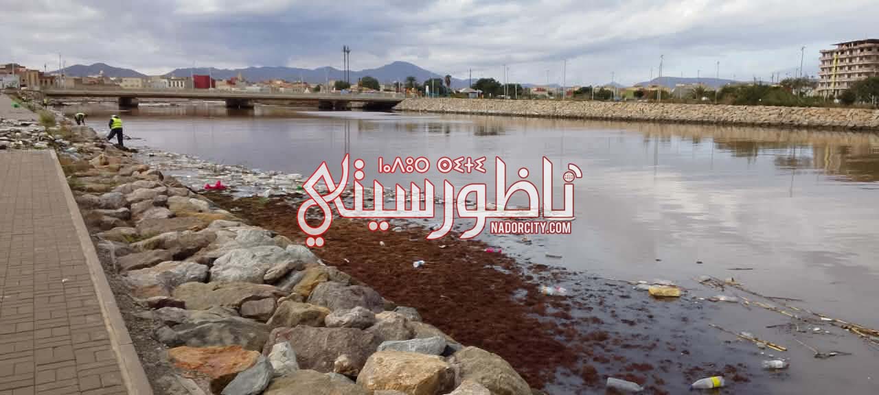 609338648-868137072783965-6148235958808223885-n