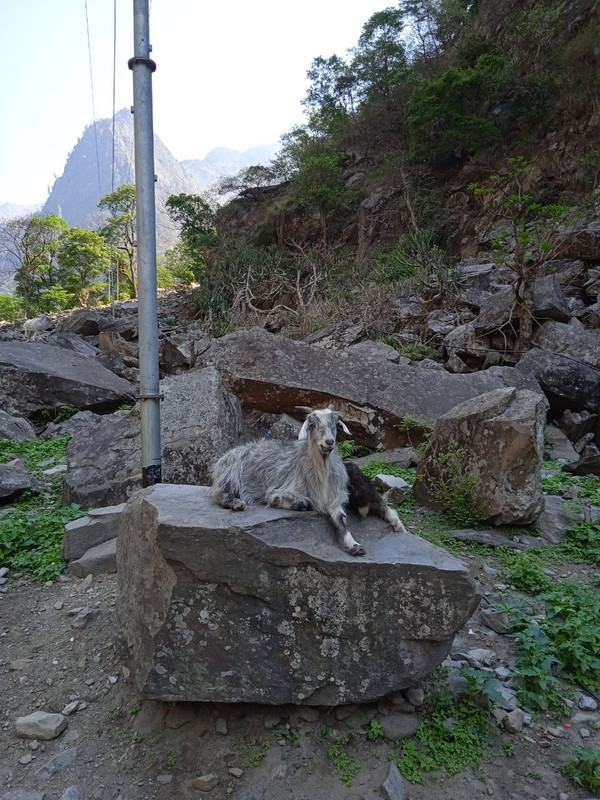 IMG_20230517_225022_921