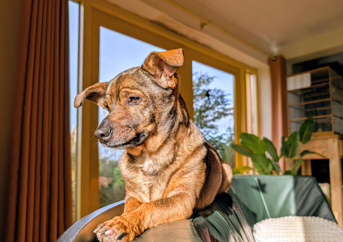 PXL 20251102 091736432 MP 2