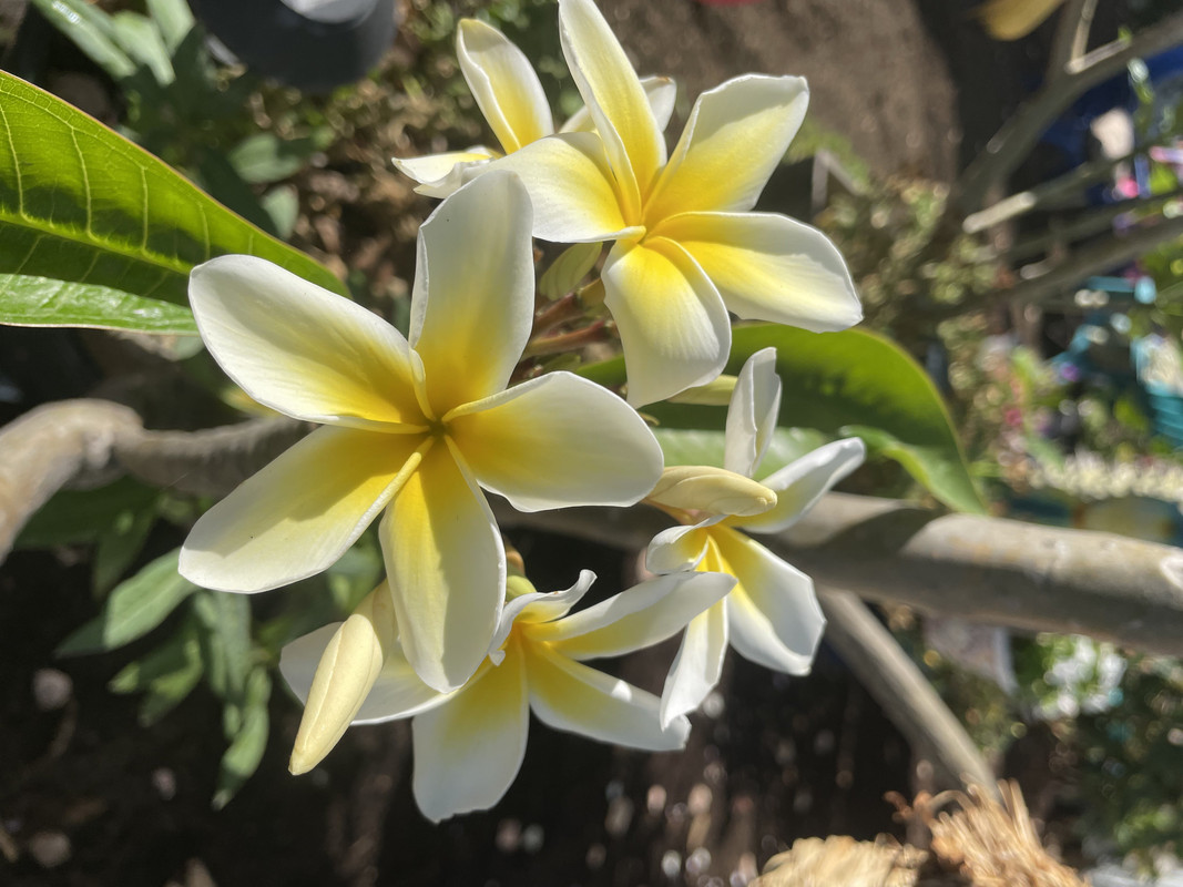 57930DCD-7BAC-4864-8CE5-8228F6F1F57F