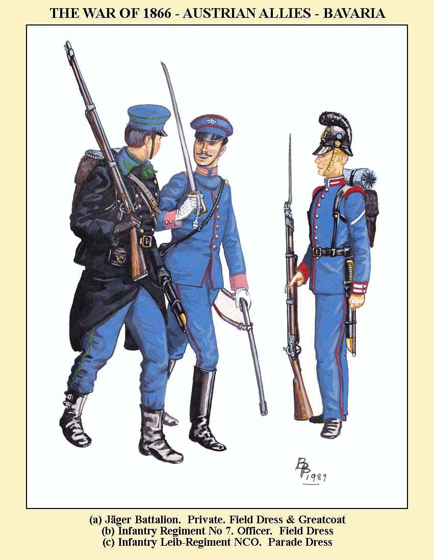 AUST-ALLIES-07.jpg