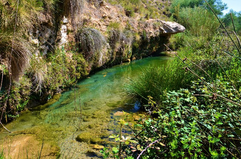 BULLAS Y SALTO DEL UCERO-17-4-2014 - Murcia y sus pueblos-1991/2022 (26)