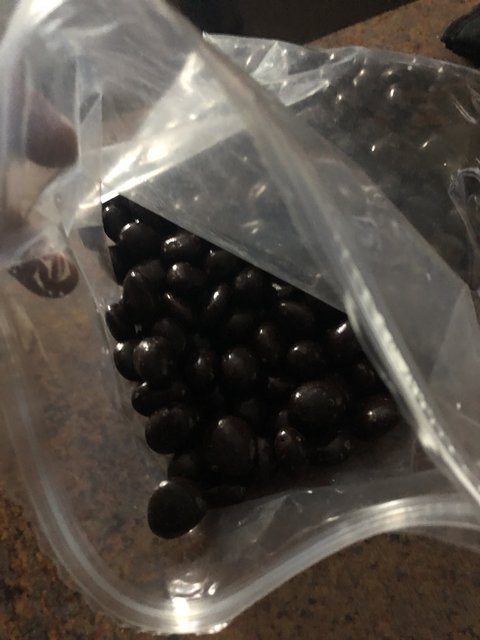 080C9588-C9BB-420C-B455-6E17888C0DC1