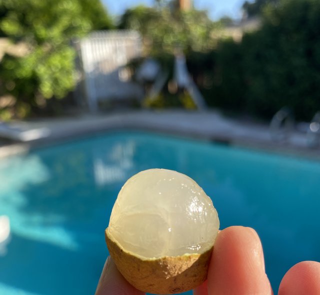 [Image: 9910-A24-E-0822-46-E6-A1-D4-95-D8-CE1602-E1.jpg]