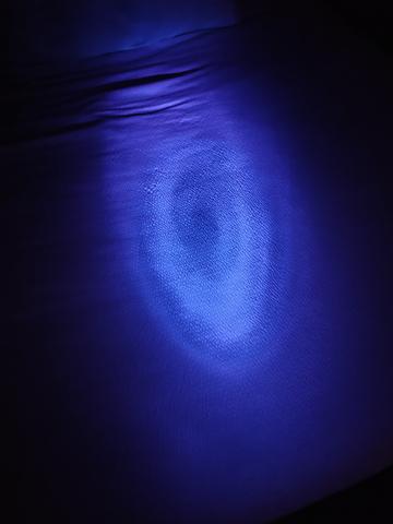 IMG20260526181727.jpg