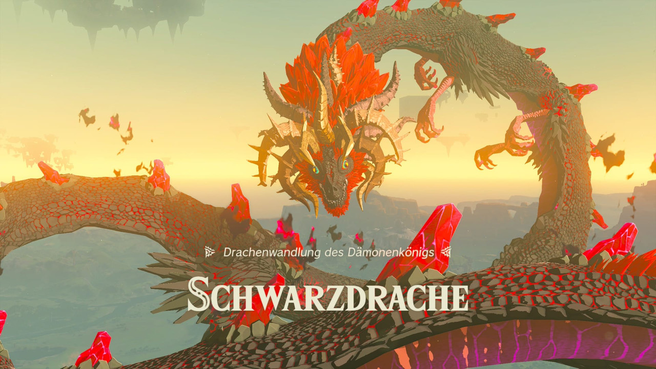 schwarzdrache.jpg