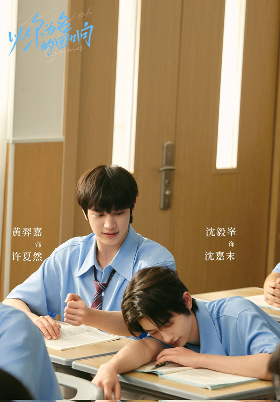 Echoes-Of-The-Summer-4