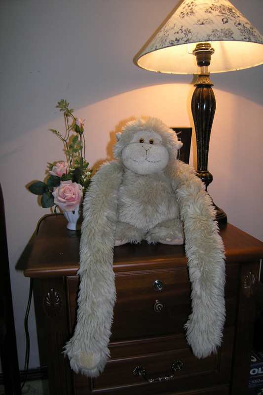 [Image: P6251191.jpg]