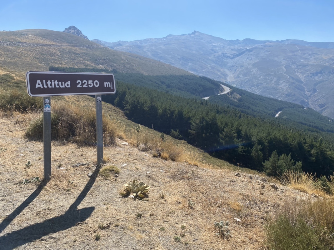 76A5D0F4-8729-44CD-8E08-D41A555C969A