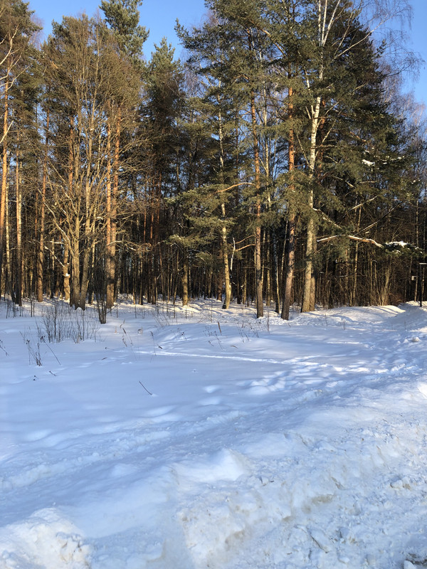 3CE053FA-399E-4DD6-8D0C-7DEEA63F1E9E