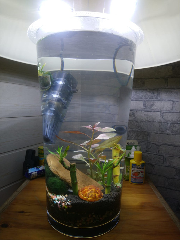 WhatsApp Image 2024-09-13 at 15.29.42 (3)