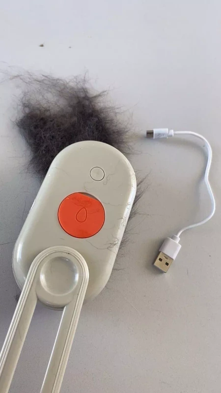 Imagem da avaliação 1