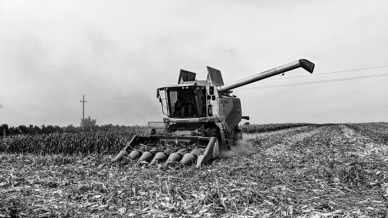 PXL-20250930-115758818.jpg