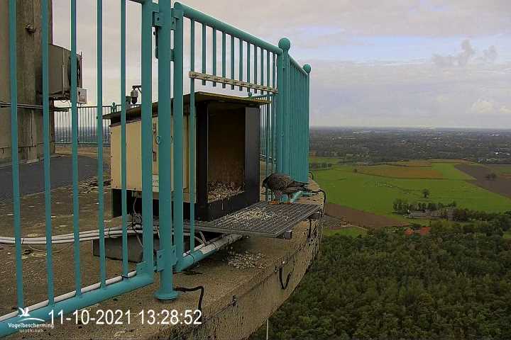 campics vanaf 1 juli © VWGGemert en bonusjes van ter plekke - Pagina 34 V6