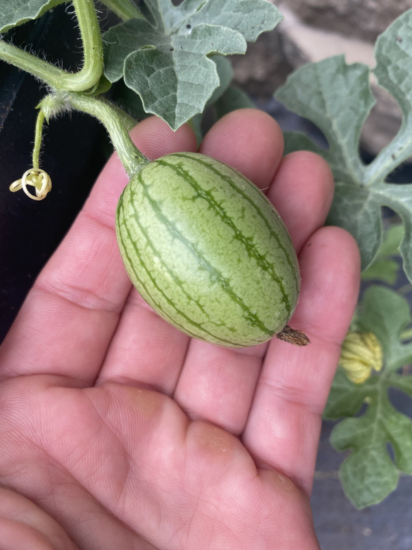 FB7A2525-8D77-48DF-8D47-8BDD8B717A95